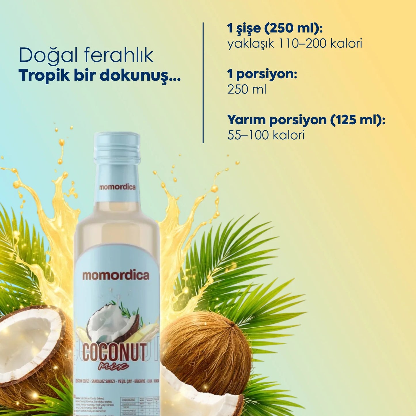 Momordica Coconut Mix 250ml cremiges Kokosmus zuckerfrei kaufen