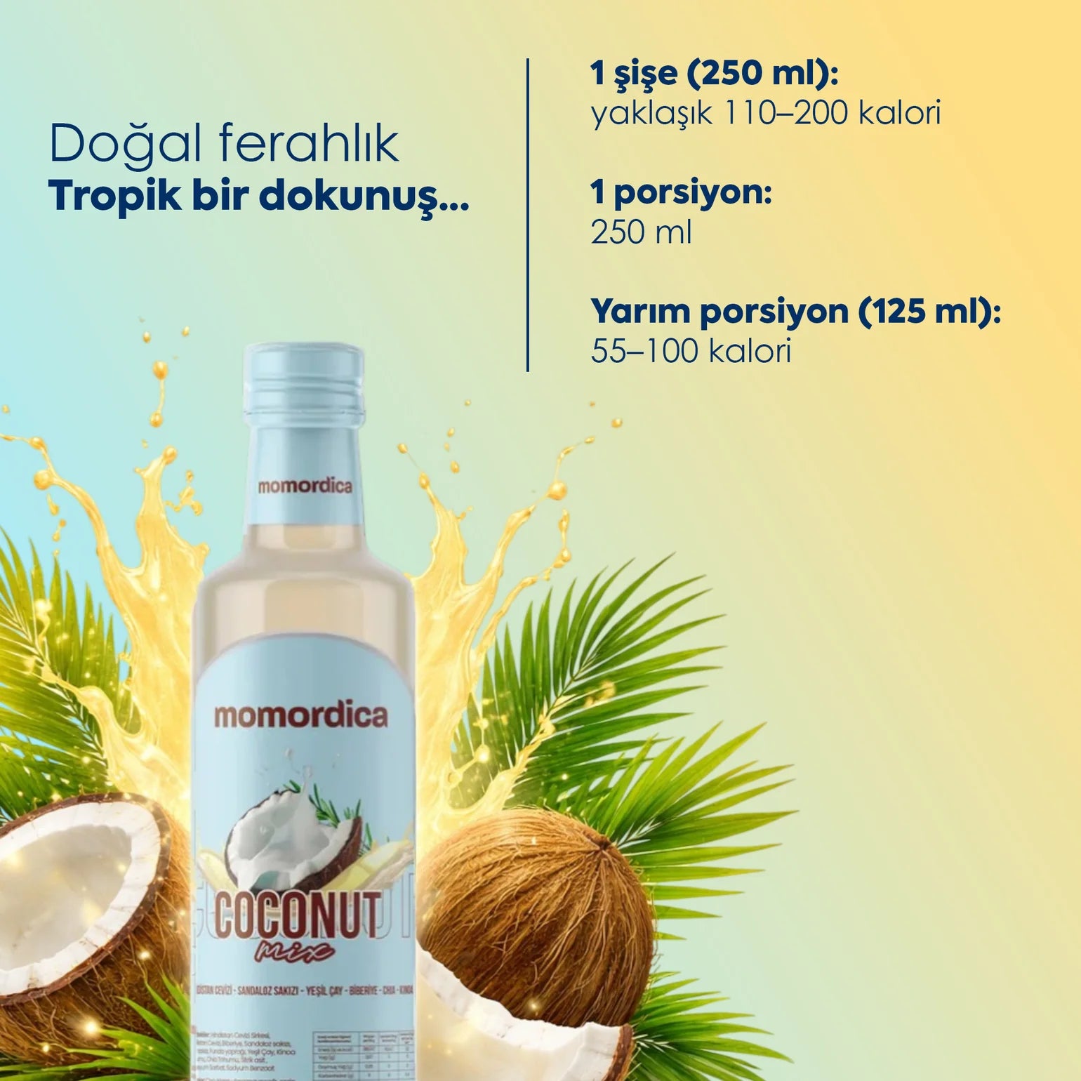 Momordica Coconut Mix 250ml cremiges Kokosmus zuckerfrei kaufen